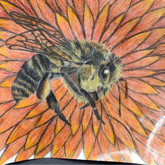 Handmade Framed Pencil Art Honey Bee Red Flower Original Colored Drawing - Picture 8 of 14